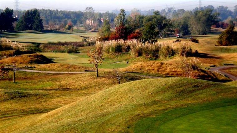 Rolling ground and native grasses in autumn